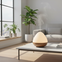 Diffuseur d'arômes portable, diffuseur d'arômes ultrasonique, humidificateur d'arômes pour la maison, la chambre, le bureau