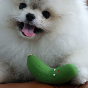 Yumuşak dayanıklı doğal lateks köpek oyuncak sevimli salatalık havuç domates sebze şekilli interaktif Pet oyuncaklar kauçuk gıcırtılı köpek çiğnemek oyuncak - Product Image 6