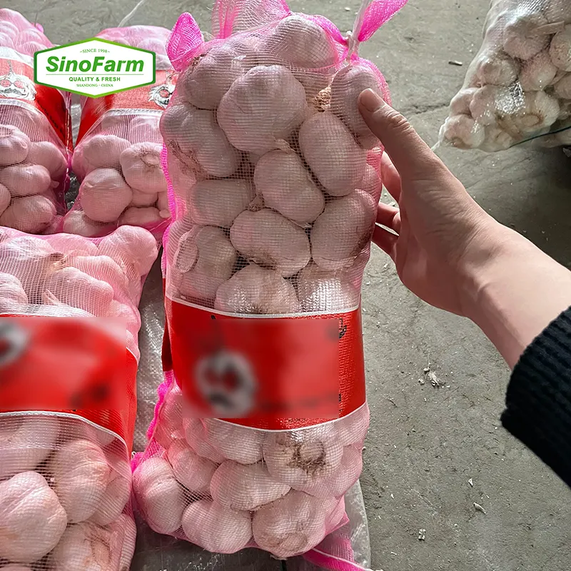 Tas jala bawang putih Cina Dikemas 10 kg 10 ton harga bawang putih