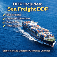Agente de Carga Profesional de China a Canadá, Transporte Marítimo Puerta a Puerta con LCL+Express, 30-45 Días de Tránsito y Seguro