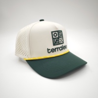 Gorra de Béisbol Deportiva Ajustable e Impermeable, Bordado 3D, Bordado a Mano, Diseño Dobby, Argyle, Puntos, Leopardo, Cierre a Presión, Personalizable