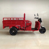 Tricycle utilitaire électrique motorisé pour le transport de marchandises, idéal pour les fabricants, le transport ouvert, les motos, les camions commerciaux et l'agriculture