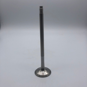 วาล์วไอดีวาล์วเครื่องยนต์ร้อนวาล์วไอเสียสำหรับ N52 BMW <span class=keywords><strong>N52B30</strong></span> 3.0L N52B25 2.5L 11347553771 11347553772 11347539919 11347553774 - Product Image 3
