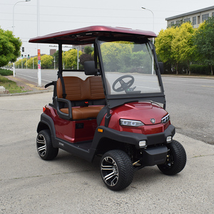 Carrito de Golf Eléctrico de 2 Plazas Fabricado en China con Certificación EEC, Carrito de Golf Urbano - Product Image 2