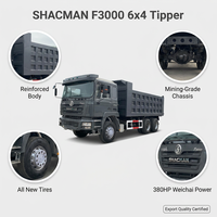 Camion benne SHACMAN F3000 6x4 d'occasion - 10 roues, 380 CV, charge utile 40T