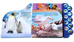 Splash with the Sharks Libros de sonido de 10 botones para que los niños aprendan los sonidos de los animales marinos - Product Image 2