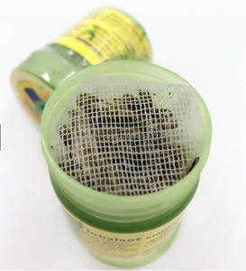 12 şişe Hongthai bitkisel Inhaler boyutu 1oz. Yeşil şişe tay ot tay Inhaler doğal ürün toptan - Product Image 6