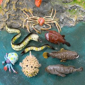 xinhen Modelos de simulación de animales marinos para niños: pez globo, pargo, cangrejo ermitaño, anguila morera y otros animales subacuáticos - Product Image 2