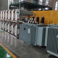 Transformateur triphasé immergé dans l'huile LEINENG 11kV 33kV 35kV Transformateurs MT et HT 400kVA 500kVA 1MVA 1000kVA 2000kVA 2500kVA