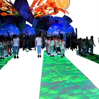 P2.6 Interaktiver LED-Bodenbildschirm für Innenräume mit Berührungssensor, Acryl-Oberfläche, 500x1000mm LED-Videoboden für Einkaufszentren
