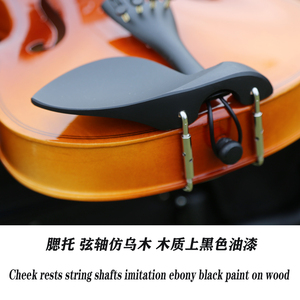 Violín Profesional 4/4 Hecho a Mano con Tapa de Arce Brillante, Cuerdas de Aleación, Estuche de Espuma y Palisandro - Modelo Más Vendido a Precio Mayorista - Product Image 4