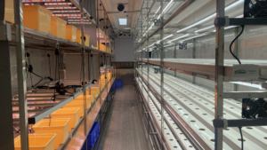 Contenedor Hidropónico Vertical Personalizado de 20 pies para Cultivo NFT con Controlador Inteligente y Control Remoto por WiFi para el Cultivo de Vegetales de Hoja - Product Image 5