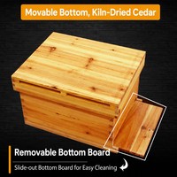 Colmena de abejas de abeto chino con revestimiento de cera, juego completo, colmena estándar con cuadros de panal, equipo de apicultura al por mayor