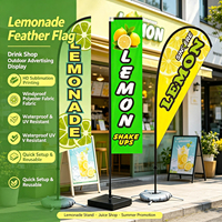 Drapeau de plumes d'atelier de lavage de voiture personnalisé enseignes publicitaires et kits de poteaux piquets de sol extérieurs adaptés au drapeau de plage