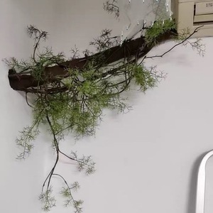 Vignes artificielles vertes, fleurs en plastique pour la décoration de la maison et du bureau, plantes suspendues au mur et au plafond, matériau EVA, couleur verte - Product Image 3