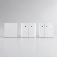 Interruptor de Pared con Marco Resistente a Impactos, Estilo Europeo, para Oficina, Comercial, Tareas de Circuito Interior