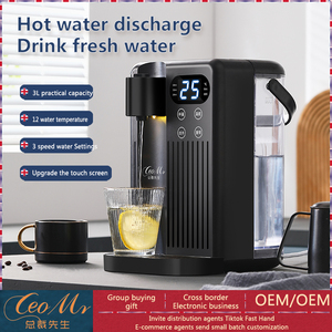 ตู้ทำน้ำร้อนไฟฟ้าอเนกประสงค์สำหรับบ้านและสำนักงานเครื่องจ่ายน้ำร้อนแบบปรับแต่งได้ - Product Image 3