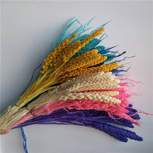 Airgris-appareil de teinture en l'air naturel de style pastoral bohémien, avec suspendre, fleurs séchées, pour décor, E07153 - Product Image 3