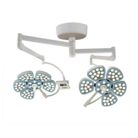 Lampe chirurgicale vétérinaire LED réglable CH pour chiens, double dôme, pour opérations, éclairage de plafond, usine