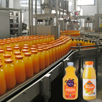 Automatische productielijn voor sinaasappelsap (1000-30000 BPH), turnkey project