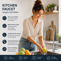 Robinet de cuisine commercial à montage sur plan avec rotation à 360 degrés, 1 poignée, en alliage de zinc nickel brossé, pour eau froide, idéal pour l'hôtellerie
