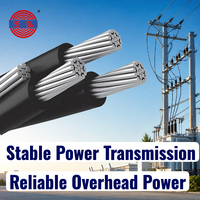 Cable Aéreo Agrupado de Alta Calidad 0.6/1kV Dúplex, Tríplex, Cuádruplex XLPE/PVC/PE de Aluminio