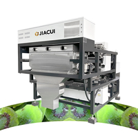 Automatische Kleurensorteermachine Met Hoge Capaciteit 512 Kanalen Voor Gedroogde Vruchten Kiwi-Vormsorteerder Voor Verwerking Van Droog Fruit