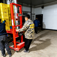 Chariot de transport électrique à quatre roues en acier inoxydable Xingdamuji pour caisses de manutention en plastique - Outils de shopping portables OEM
