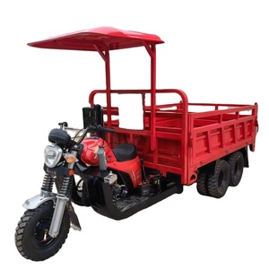 Tricycle de fret robuste à refroidissement liquide 350cc, 9 roues, avec benne de 2,5m x 1,5m - Tricycle pour adultes - Product Image 1