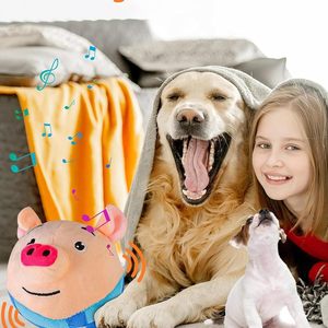 Có thể giặt hoạt động di chuyển kêu cót két di chuyển nói chuyện nảy Pet đồ chơi cho chó vật nuôi con chó bóng âm thanh điện tử con chó đồ chơi sang trọng - Product Image 5