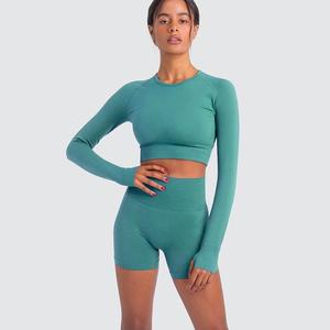 2025 automne femmes Fitness <span class=keywords><strong>sport</strong></span> salle de <span class=keywords><strong>sport</strong></span> à manches longues vêtements de <span class=keywords><strong>sport</strong></span> 2 pièces Shorts d'entraînement Leggings ensemble imprimé Logo Yoga haut <span class=keywords><strong>bas</strong></span> - Product Image 6