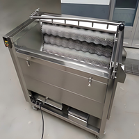 Anxu Volledig Automatische Commerciële Kokosnoot Aardappel Kiwi Rode Dadels Fruit Groente Borstel Haarroller Pomp Reinigingsmachine