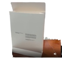 定制白色牛皮纸礼品袋，带扭纹纸手柄，可批量回收，适合商业和零售用途