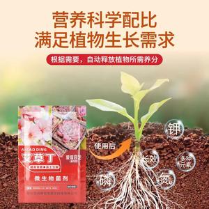 Compost de Ajenjo en Cubos al por Mayor de Fábrica, Agente Microbiano para Jardinería, Plantas Verdes en Maceta, Flores, Fertilizante Universal para Flores - Product Image 4