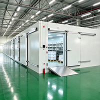 Contenedor Refrigerado Tipo Congelador con Unidad de Condensación de Corriente Continua para Almacenamiento en Cámaras Frigoríficas y Transporte de Alimentos Congelados