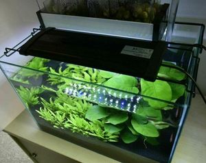 Lumière <span class=keywords><strong>LED</strong></span> pour <span class=keywords><strong>aquarium</strong></span> 30/45/60/90 <span class=keywords><strong>cm</strong></span>, luminosité réglable, multicolores naturels, variateur d'intensité, supports extensibles - Product Image 4