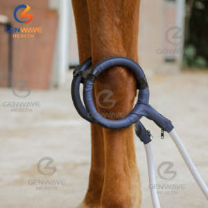 Máquina de Terapia Magnética para Humanos y Animales, Bucle Pemf 24700 Gauss, Alivio del Dolor, Mejora la Recuperación - Product Image 4