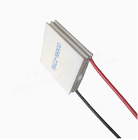 Module de refroidissement thermoélectrique Shenzhenrainbowsemi TEC2-19003 Peltier 30*30MM à double couche semi-conducteur électronique