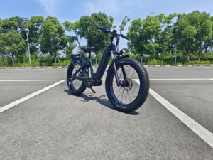 Bicicleta Eléctrica de Montaña para Mujer, 48V 17.4Ah, Batería de Litio, 1000W, Motor Trasero, Cuadro de Aluminio, Neumáticos Gruesos de 26 Pulgadas, Frenos de Disco Hidráulicos - Product Image 2
