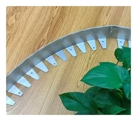 Bordure de jardin en acier inoxydable 304 durable, idéale pour séparer l'herbe et les pierres – Meilleures ventes aux États-Unis