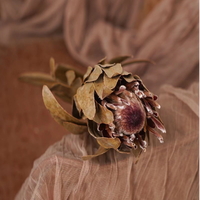 DFF05 Protea Fleur Séchée Protea Cynaroides Naturel Réel Bouquet De Fleurs Décoration Vie Bouquet De Fleurs Séchées Décoration