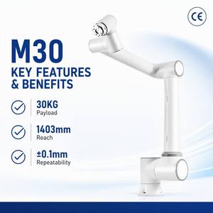SWJD 6 Axis Robot Arm Paletiser 30kg Payload 1403mm Reach Heavy Cobot Robotic Palletizing Machine For Factory Loading - Product Image 2