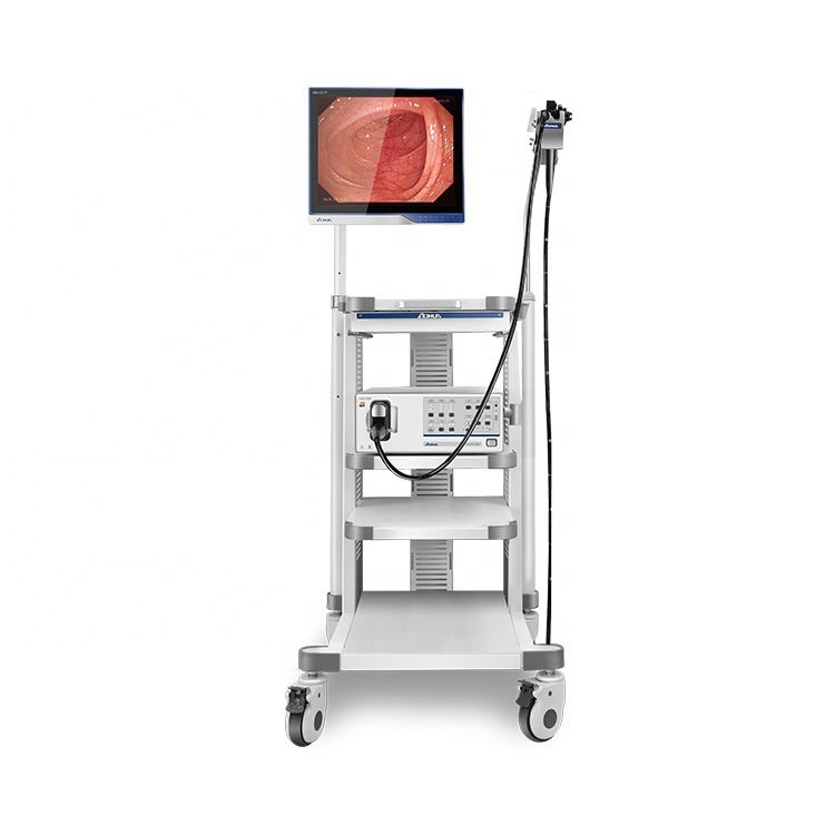 Digital Ent Endoscope Flexible Endoscope Hospital