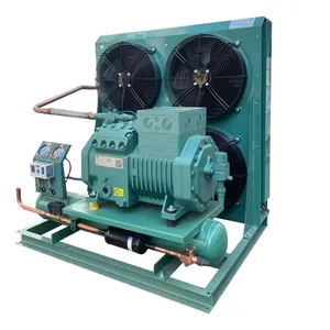 Customization High Effective Freezing Compressor Cold Room Condensing Unit Cooling Systems