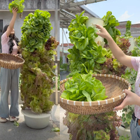 Jardin vertical en tour à 9 étages avec réservoirs de 30L, systèmes de culture hydroponique verticaux pour la culture de légumes et de plantes
