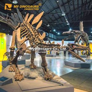 MY DINO Fósil <span class=keywords><strong>de</strong></span> Dinosaurio Jurásico, <span class=keywords><strong>Esqueleto</strong></span> Realista <span class=keywords><strong>de</strong></span> Estegosaurio en Venta - Product Image 1