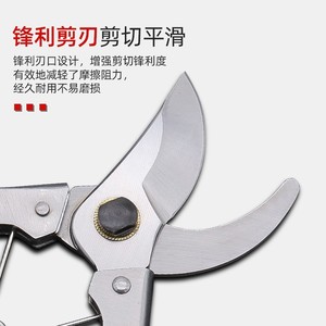 Nice Pruning <b>Shears</b> 55mm Blade 30-50mm Trimming Diameter Carbon Steel Garden <b>Tool</b> - Product Image 2