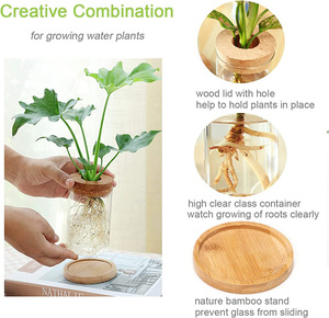 Terrario de Tubo de Vidrio en Oferta para Plantas Hidropónicas, Decoración del Hogar y Jardín, y Exhibición de Esquejes de Plantas en Escritorio - Product Image 6