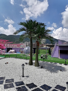 Commande en gros directe du fabricant Faux <span class=keywords><strong>palmier</strong></span> surdimensionné extérieur en noix de coco géante coupe-vent personnalisable <span class=keywords><strong>pour</strong></span> la décoration extérieure - Product Image 6