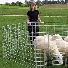 Panneau de treillis soudé galvanisé à chaud de 6 pieds utilisé pour les clôtures - Product Image 4